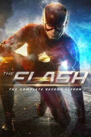 The Flash: Season 2